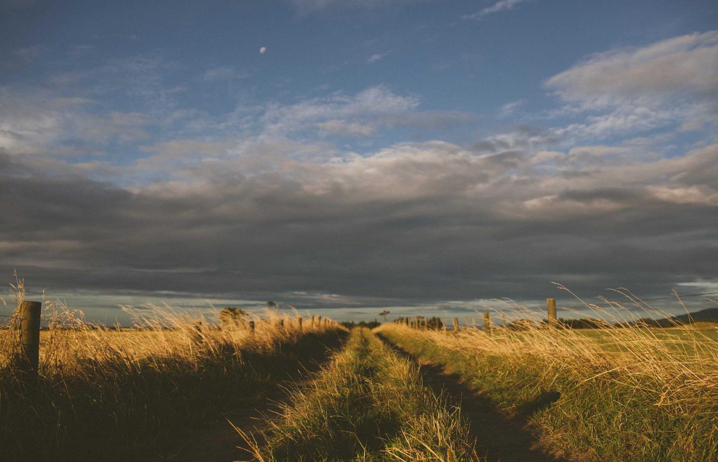 Farm track running through golden grass under a broad evening sky